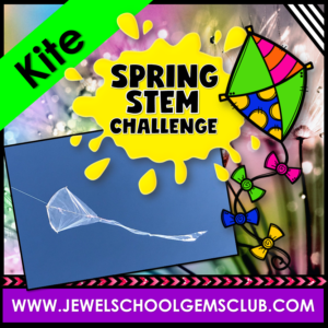 SPRING STEM CHALLENGE